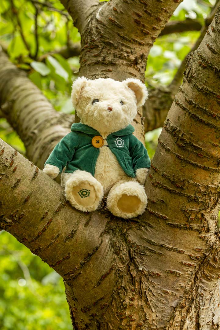 Herringham, The Regent's Bear