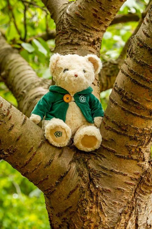 Herringham, The Regent's Bear